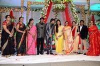 Gopichand Malineni Wedding Reception Gallery
